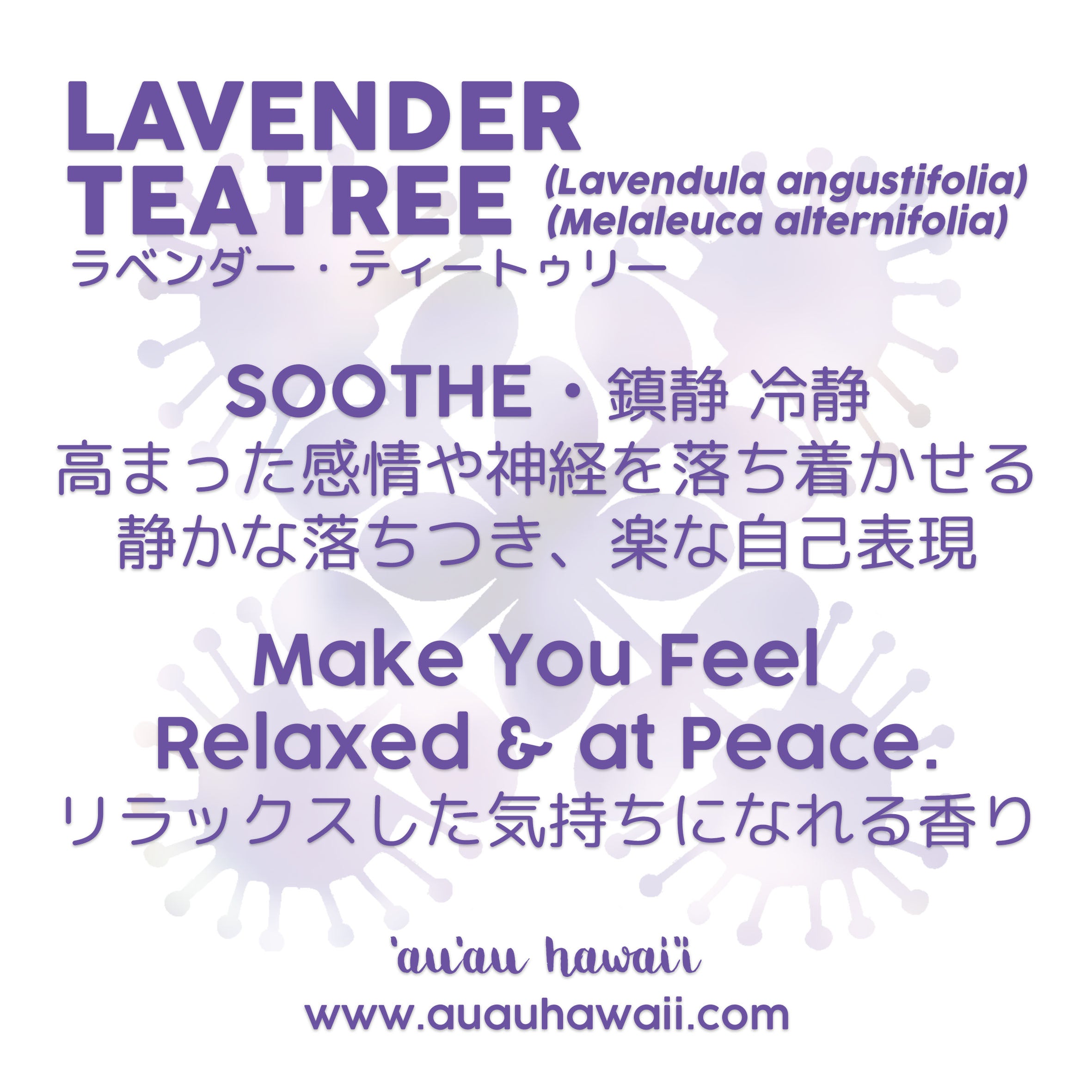 Beauty Oil Lavender Tea tree ビューティーオイルラベンダーティー