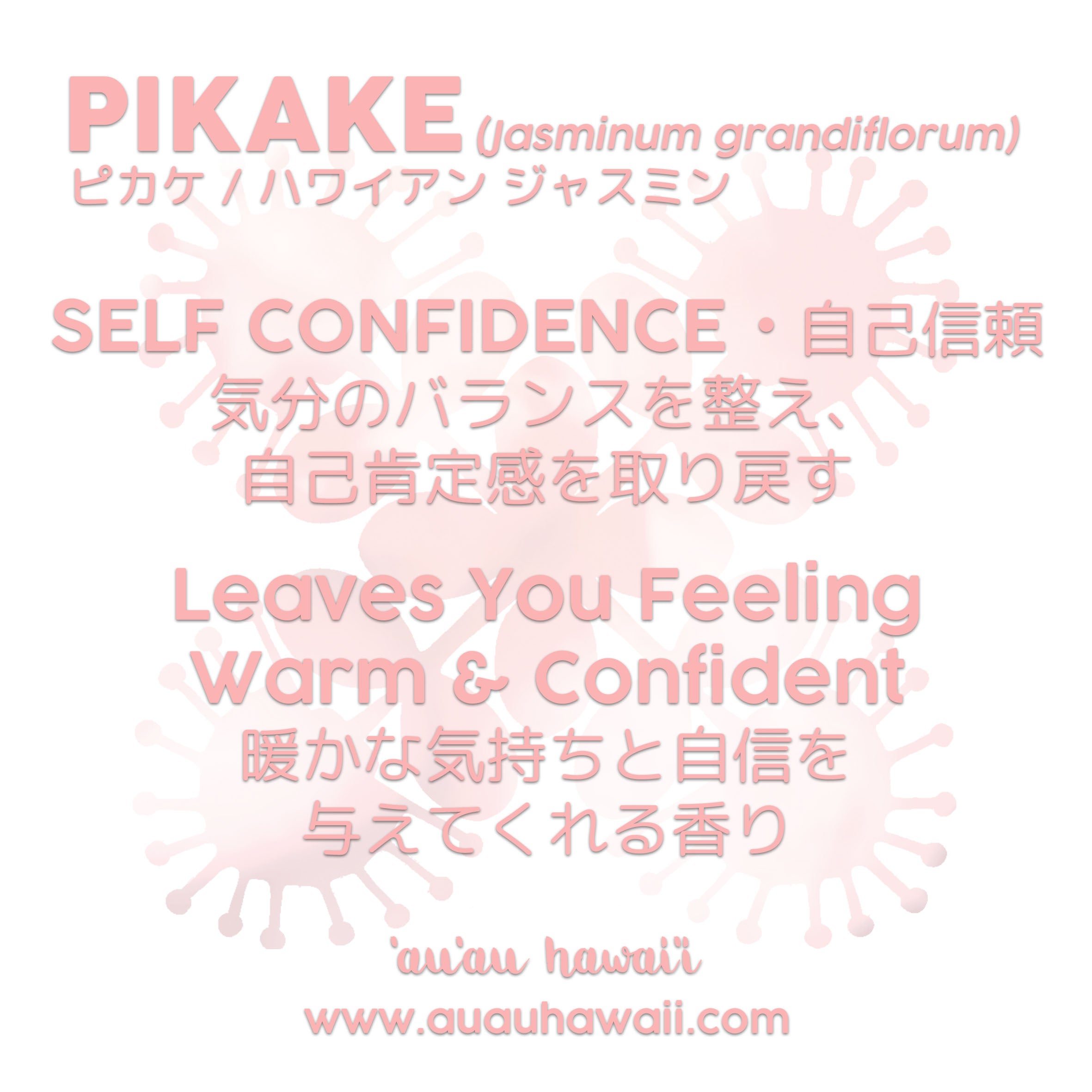 麗華 BEAUTY OIL 18ml×5個 Beauty Oil Pikake ビューティーオイルピカケ – auauhawaii