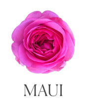 画像をギャラリービューアに読み込む, Kōkua Maui Set
